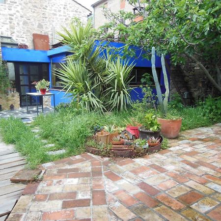 Maison Dans Jardin Villeseque-des-Corbieres Buitenkant foto