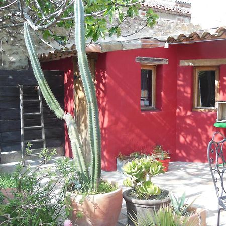 Maison Dans Jardin Villeseque-des-Corbieres Buitenkant foto