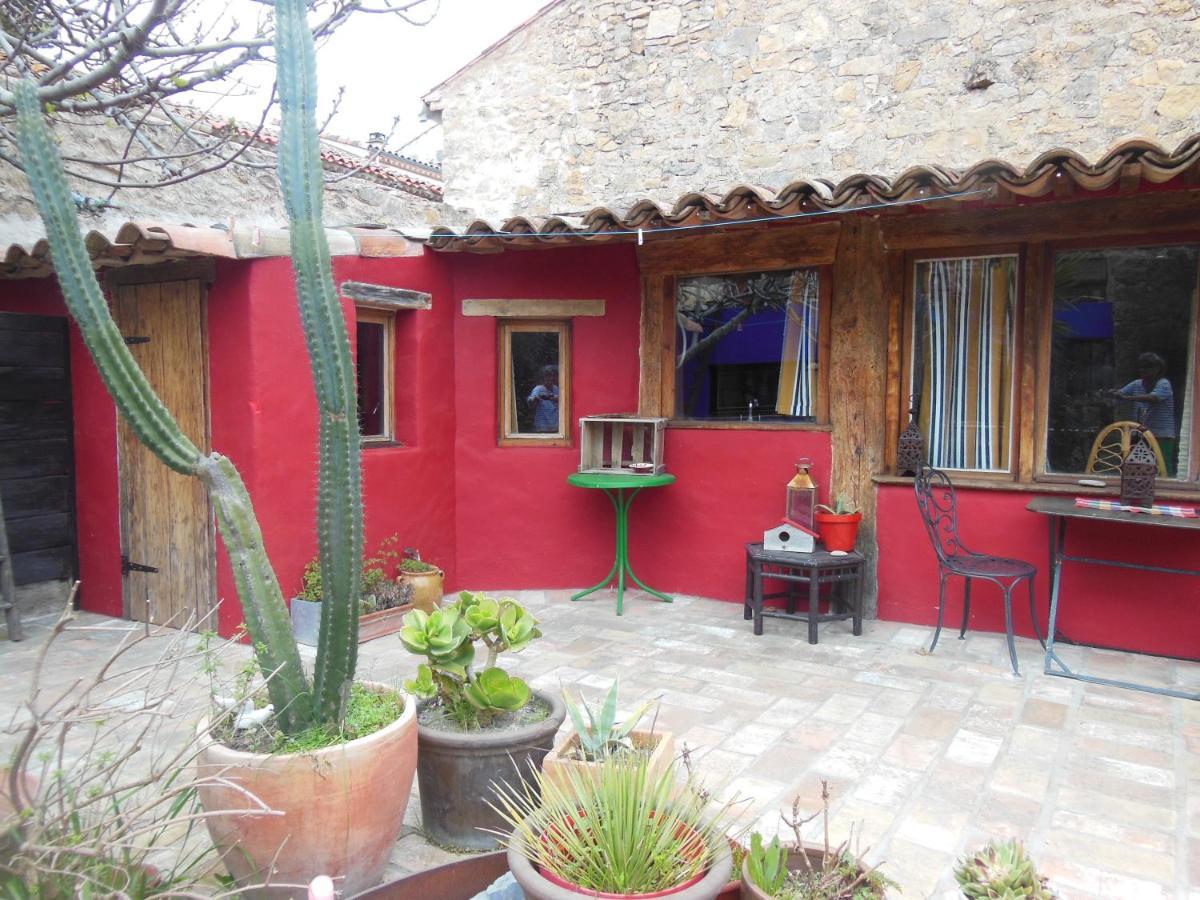 Maison Dans Jardin Villeseque-des-Corbieres Buitenkant foto