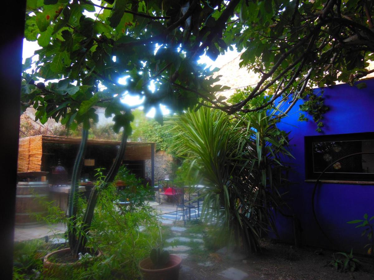 Maison Dans Jardin Villeseque-des-Corbieres Buitenkant foto